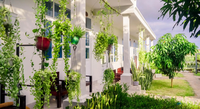 Номер Standard Đồi Dừa Homestay