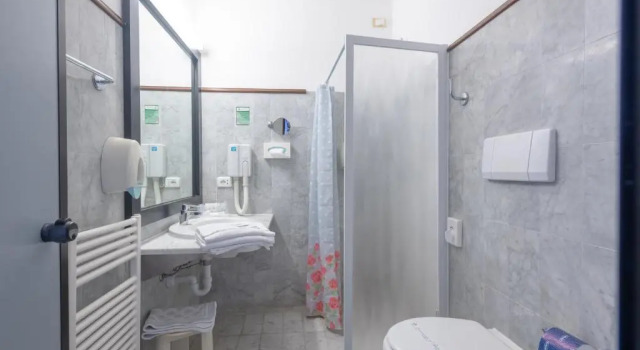 Двухместный номер Standard Hotel Le Acacie