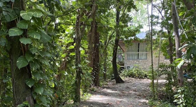 Вилла с 3 комнатами с видом на океан Frenchman's Cove Resort