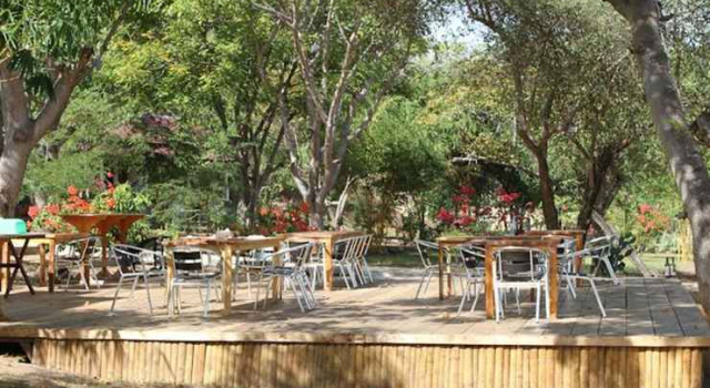 Waecicu Beach Inn