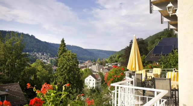Двухместный номер Standard Wellnesshotel Rothfuß mit Spa und 2 Schwimmbädern