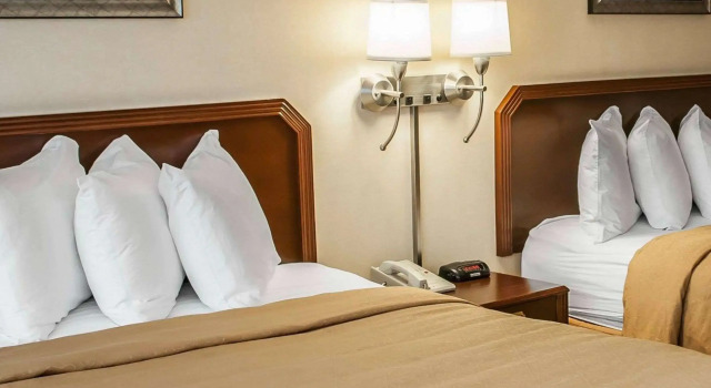 Четырёхместный номер Standard Quality Inn & Suites Goshen