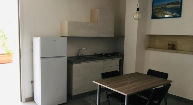 Студия Standard aestatisdomus