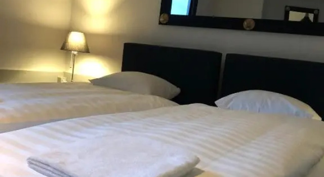 Номер Standard Vevey Hotel & Guesthouse