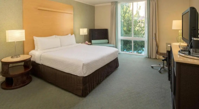 Номер Standard Crowne Plaza Cabana, Palo Alto by IHG