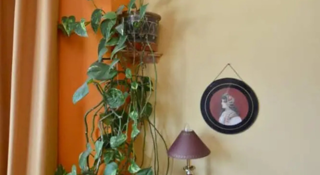 Eclectic Home In Trendy Bristol Suburb