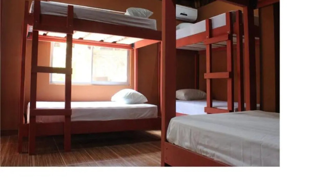 Кровать в общем номере Coral Reef Surf Hostel