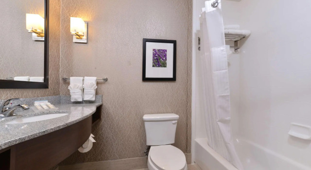 Четырёхместный номер Standard Hilton Garden Inn Hobbs