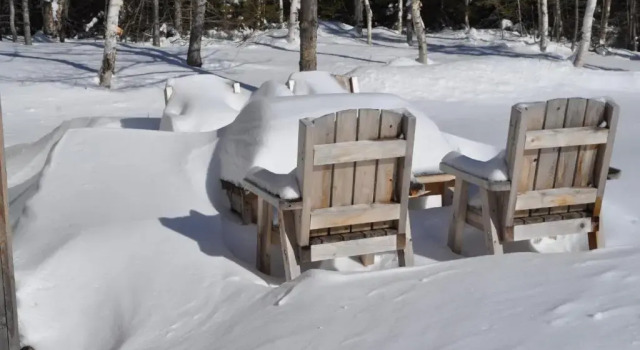 Коттедж The Sleeping Moose Cottage