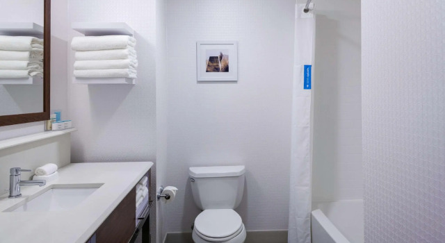 Четырёхместный номер Standard Hampton Inn & Suites Chicago-Burr Ridge