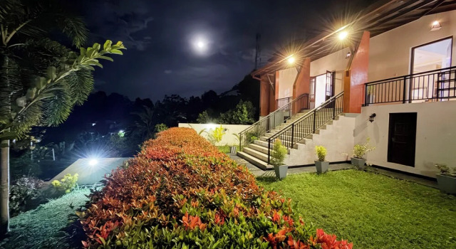 Albion Nest  Galle