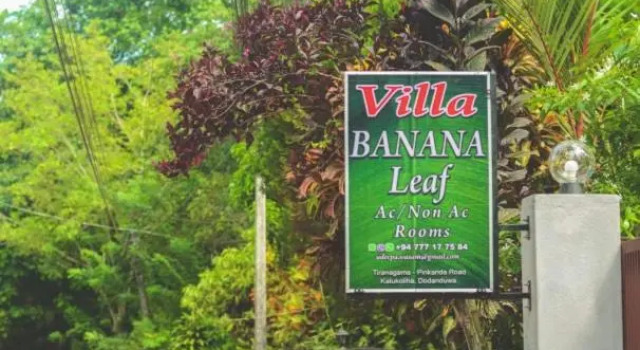Villa Banana Leaf