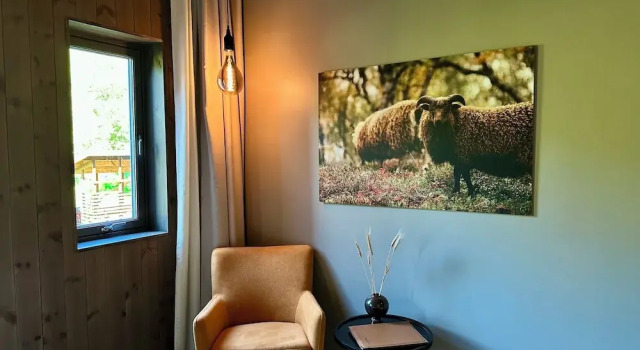 Двухместный номер Standard с видом на горы Bjørnfjell Mountain Lodge