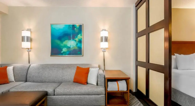 Номер (с диваном) Hyatt Place Lake Mary/Orlando North