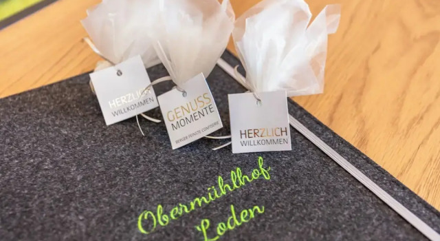 Апартаменты Comfort с 2 комнатами с балконом и с видом на горы Obermühlhof Apartments