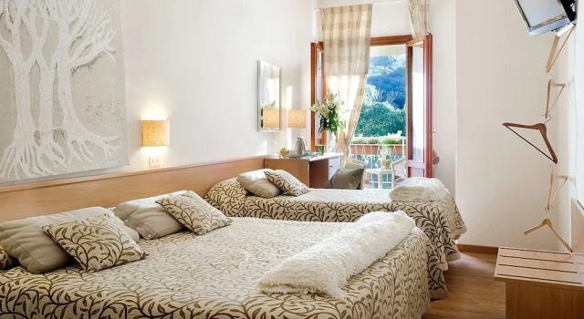 Двухместный номер Classic La Selva Hotel