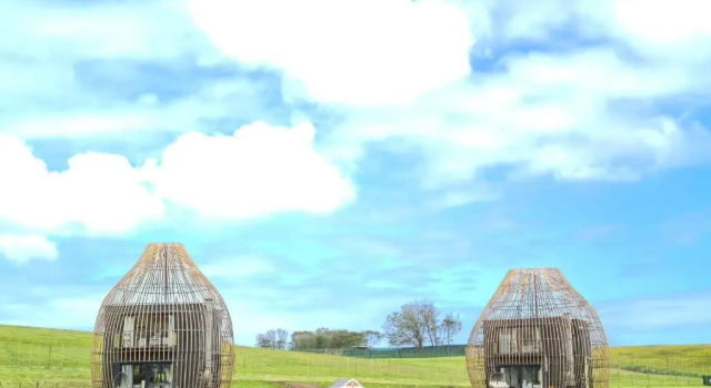 Шале Superior Buff & Fellow Eco Cabins