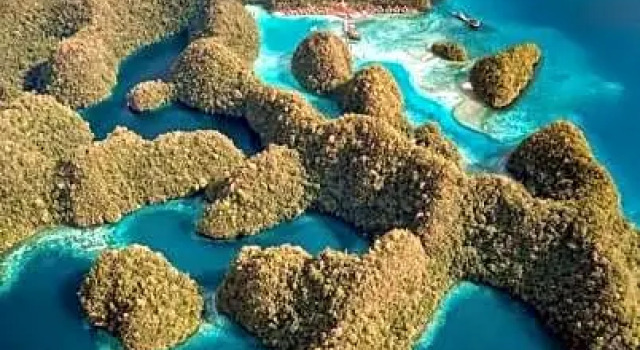 Номер Standard Club Tara Island Resort