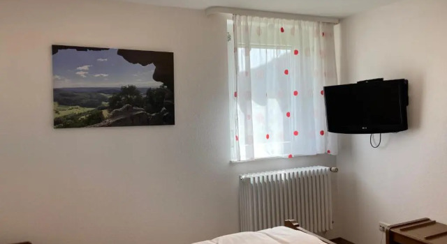 Двухместный номер Economy Hotel Garni Schmieder’s Ochsen