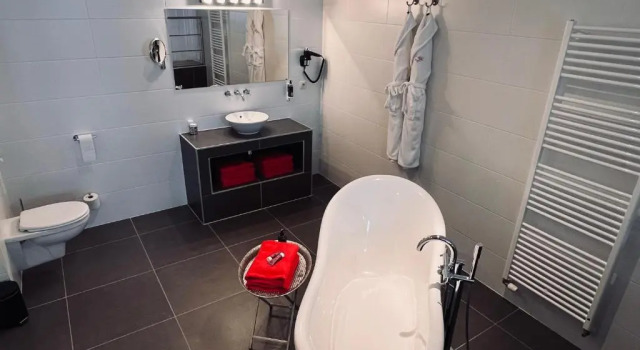 Номер Deluxe Hotel Het Heilig Genot