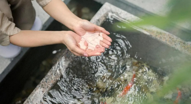 The Source Boutique Guest House, Book Pension Gæstehuse i Shandong, Pension
