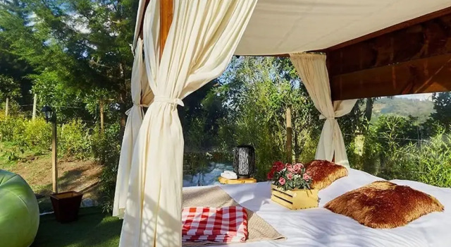 Standard chambre BubbleSky Glamping