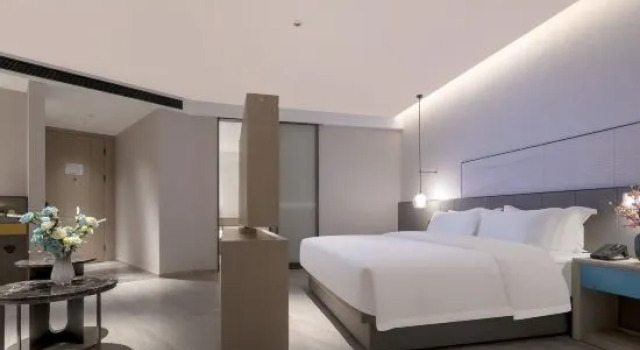 Люкс Executive Wassim Hotel (Wuhan Tianhe Airport Aviation Headquarters Subway Station)