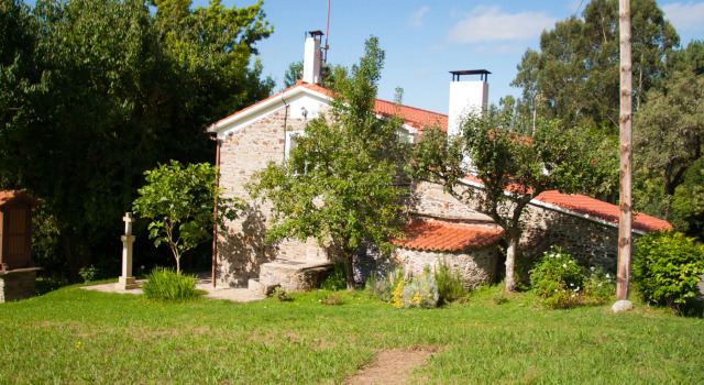 El Olivo