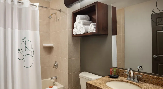 Полулюкс Great Wolf Lodge Boston / Fitchburg, MA