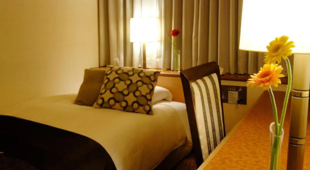 Одноместный номер Standard Central Hotel