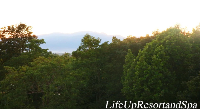 Номер Standard Life Up Resort and Spa