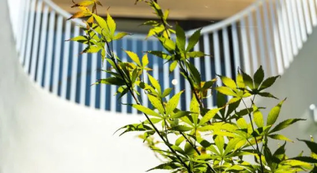 A touch of sunshine Inn