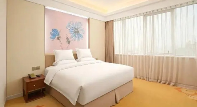 Одноместный номер Deluxe Celeste Palace International Hotel
