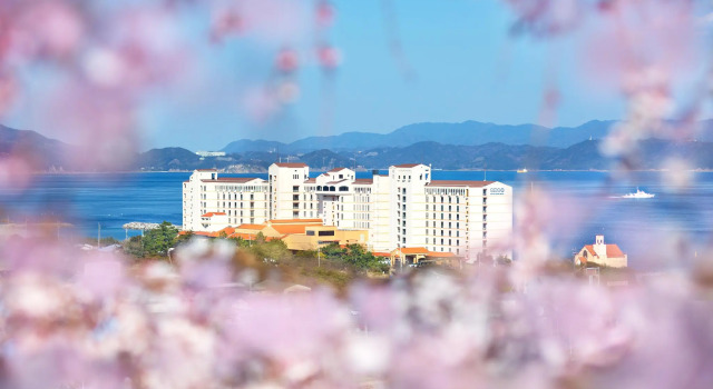 Номер Standard AoAwo Naruto Resort