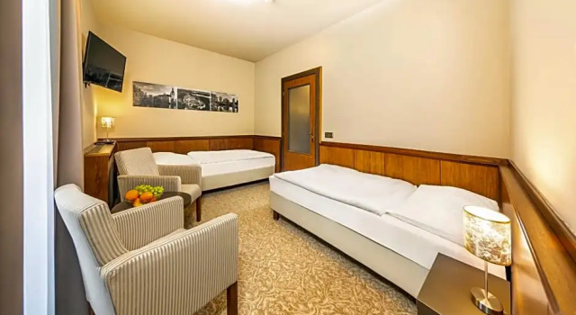 Номер Economy Wellness Hotel Zlatá Hvězda