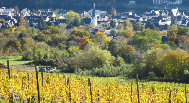 Wildbadstrasse, Prenota Hotel Traben-Trarbach Mosella