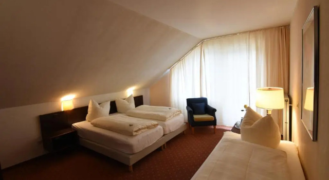 Трёхместный номер Standard Hotel Senator