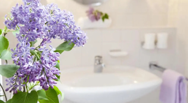 Апартаменты Comfort Ferienwohnungen Vogler