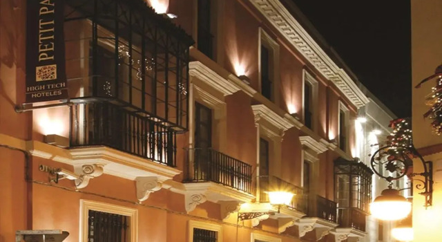 Двухместный номер Petit Palace Marques Santa Ana