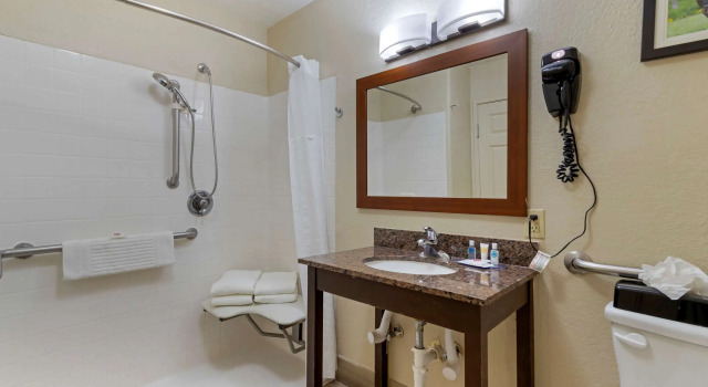 Двухместный люкс Comfort Inn & Suites Near Six Flags & Medical Center