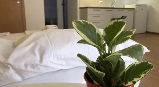 Апартаменты Deluxe Aparthotel Elly