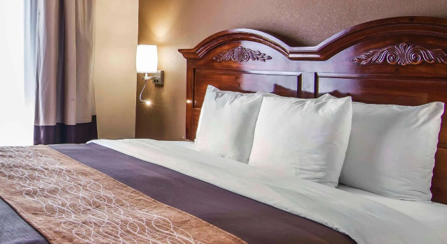 Люкс c 1 комнатой Quality Inn & Suites I-35 E-Walnut Hill
