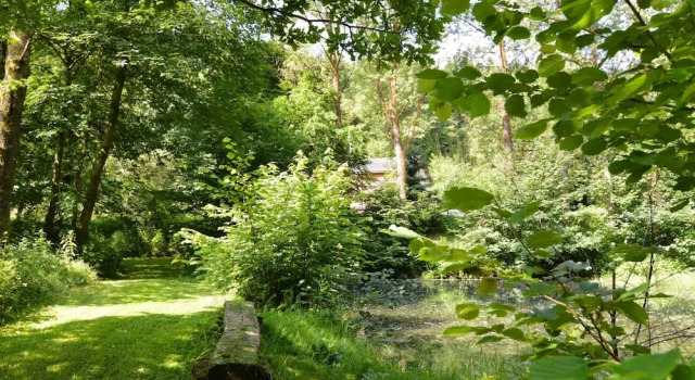 Шале Forest Cottage With Ponds