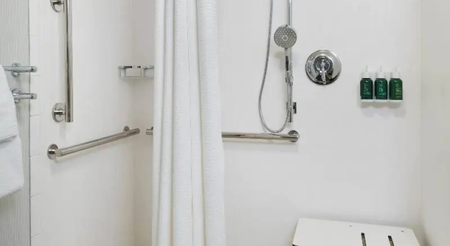 Четырёхместный люкс Sonesta ES Suites Birmingham Homewood