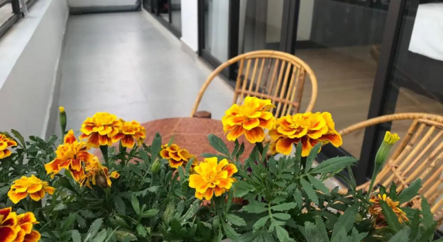 Апартаменты Elysinam Boutique Hotel Ha Long