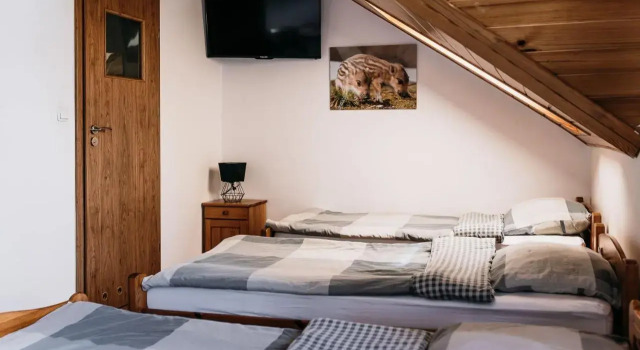 Noclegi Pod Orlikiem, Rezerwuj Apartament Ustrzyki Dolne 