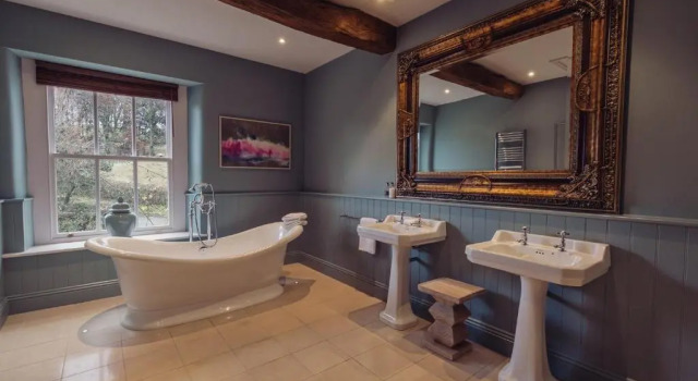 Deluxe Suite Plough Inn