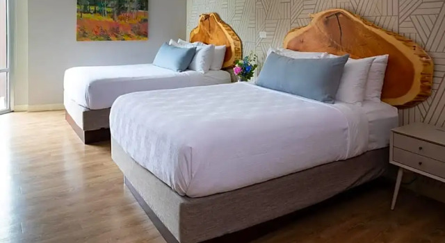 Четырёхместный номер Standard Delamar Traverse City