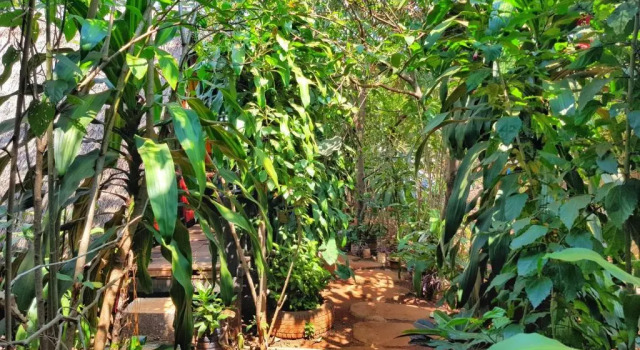 Ratanakiri Homestay