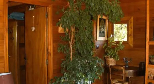 Chalet de la Fressine, Забронировать Шале Виллы Овернь-Рона-Альпы, Вилла